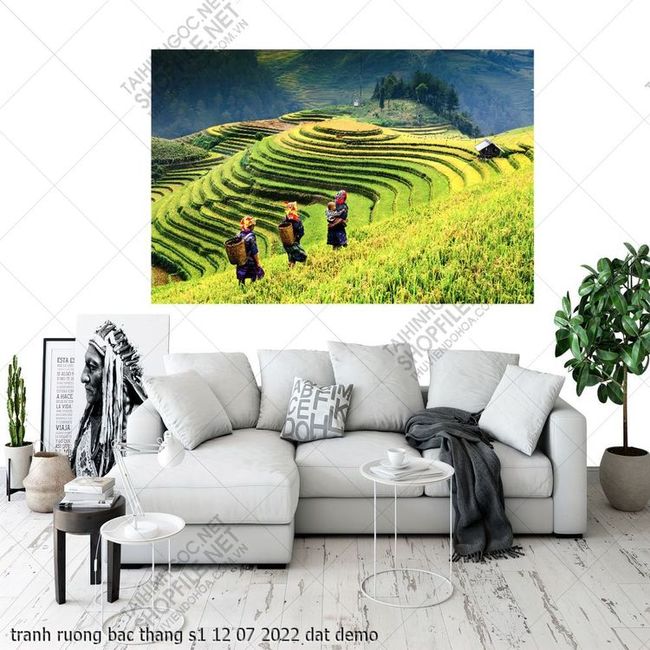 tranh ruong bac thang s1 12 07 2022 dat